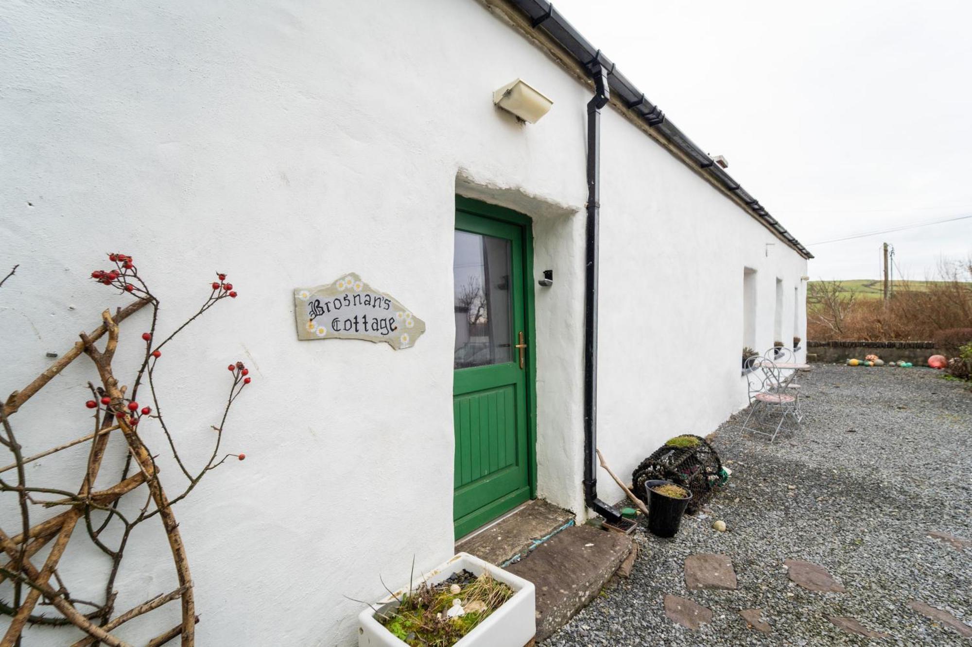 Brosnan'S Cottage Dingle Zewnętrze zdjęcie